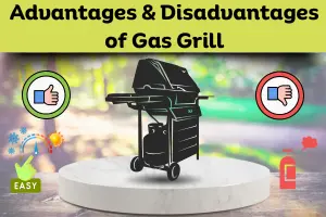 Advantages and Disadvantages of Gas Grill – Complete Guide