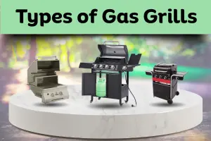 Types of Gas Grills – Find the Perfect Grill for Your Backyard