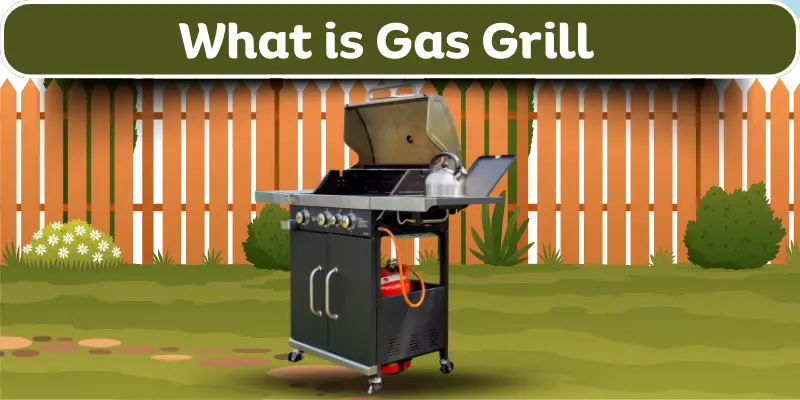 What is gas grill with outdoor setup in backyard